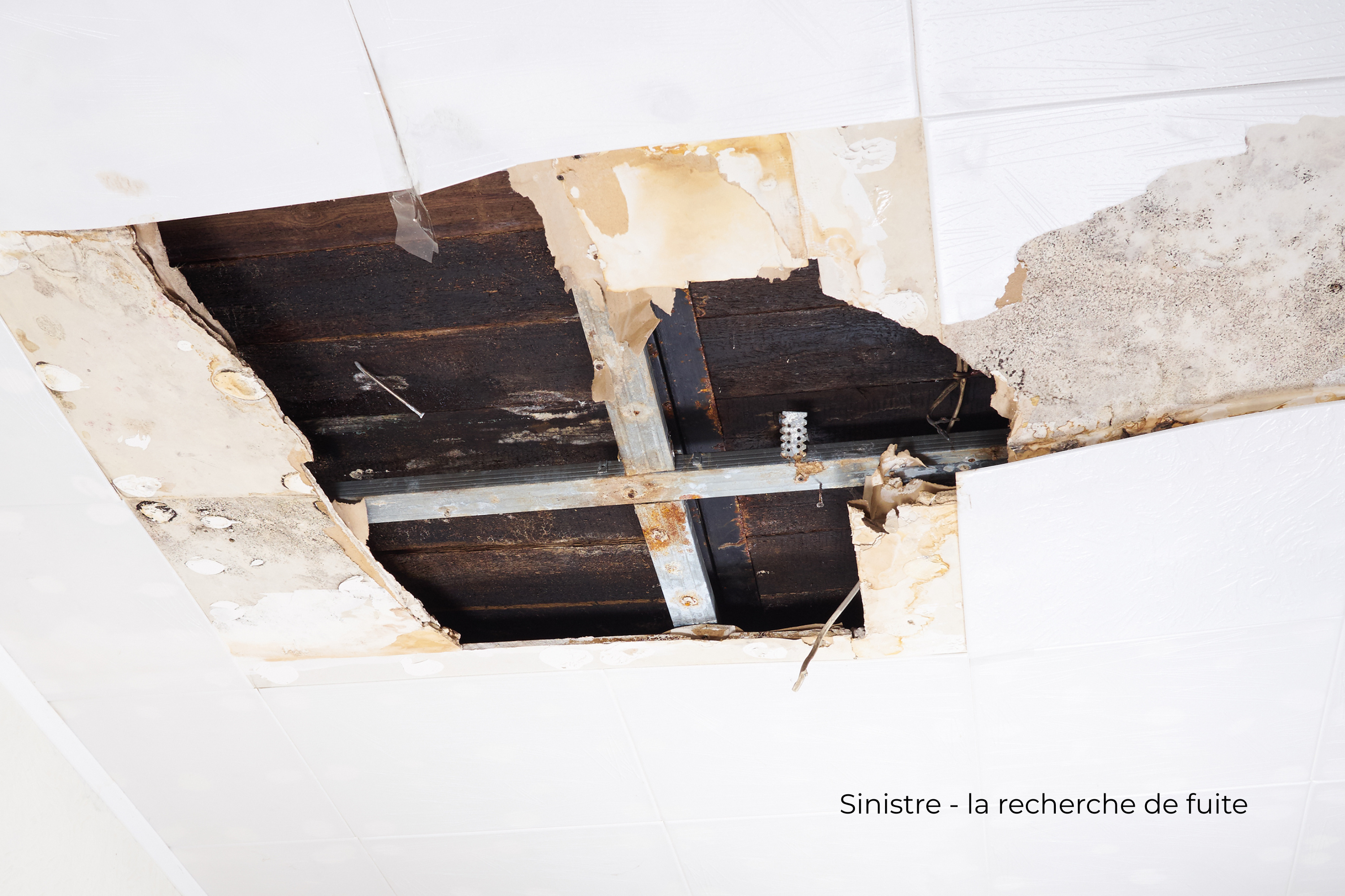 Dégats des eaux - convention IRSI