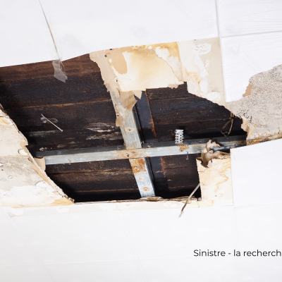 Dégats des eaux - convention IRSI